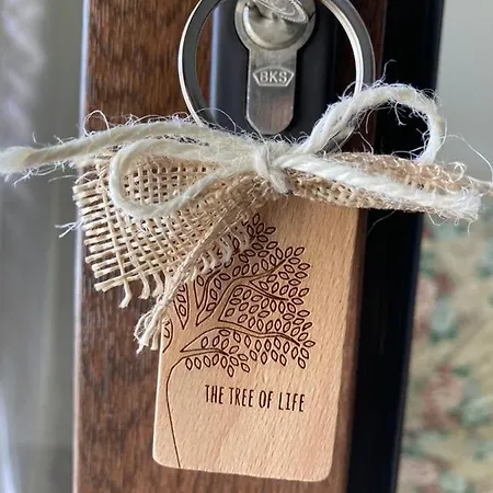 S'apposentu アパート